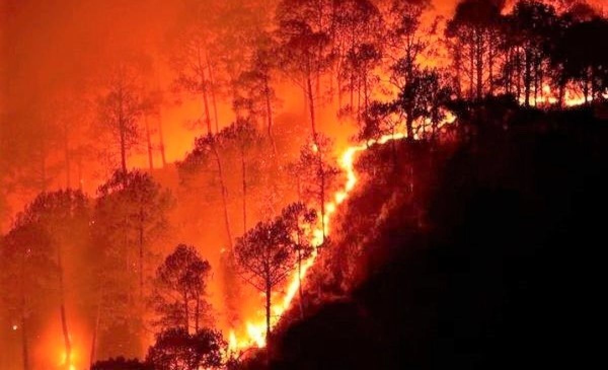 Nắng nóng gia tăng, nguy cơ cháy rừng cao trong đợt cao điểm