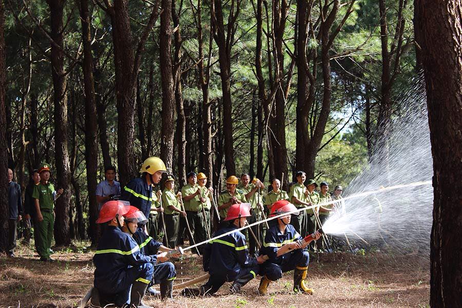 Gia Lai: Diễn tập phòng cháy chữa cháy rừng cấp tỉnh