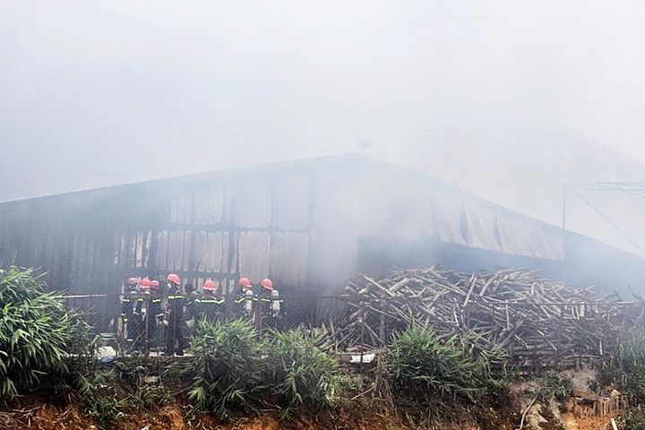 Cháy lớn tại cơ sở sản xuất nấm rộng 3ha ở Lâm Đồng